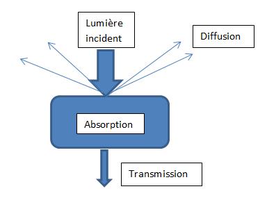 absorption diffusion transmission